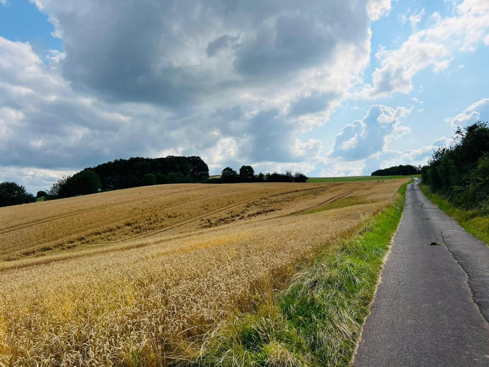 Ferienwohnung In Der Schoenen Eifel! Mechernich Exterior foto